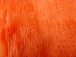 Color Aesthetic Orange Aesthetic Orange Color Light Orange