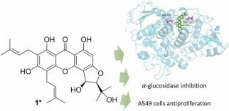 Image result for Pentadesma