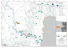 Image result for Vernonia melanocoma