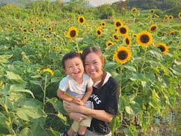 任何地區 中西區 九龍城 元朗區 北區 南區 大埔區 屯門區 地區 中西區 九龍城 元朗區 北區 南區 大埔區 屯門區 東區 沙田區 油尖旺 深水埗 灣仔區 荃灣區 葵青區 西貢區 觀塘區 離島區 黃大仙. å¤å­£é™å®š ä¸€ç‰‡ç‰‡å¤ªé™½èŠ±æµ·å…è²»è³ž å°è‚¥å­æ˜Ÿçƒ
