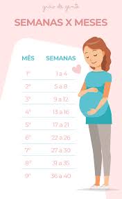 Calculadora Gestacional De Meses Para Semanas Aprenda A Calcular As Semanas De Gravidez Em Meses E Aproveite Para Conferir As Novidades Do Blog Grao De Gente Meses De Gravidez Gravidez Dicas De Gravidez