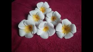 Made to fit any individual style, the charger plate collection features low prices for greater value. Learn How To Make Foam Plumeria Flower Youtube