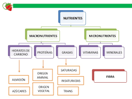 Los principales son glúcidos, proteínas, y lípidos. Presentacion Fisiologia Del Ejercicio Educacion Fisica 1Âº E S O Nutricion Macronutrientes Micronutrientes