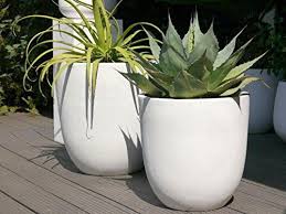 Grosser Pflanzkubel Pure Aus Fiberglas 60x60x60cm In Perlweiss Blumenkubel Pflanztopf Pflanztopfe Ubertopf Rund Xxl Amazo Pflanzkubel Pflanzen Blumenkubel