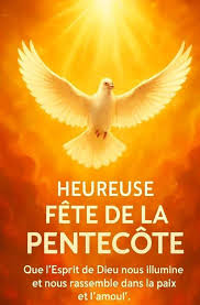 meditation du Dimanche 08 juin 2025 – Solennité de la Pentecôte : L'Esprit  Saint renouvelle la face de la terre (cf. Ac 2,1-11 ; Ps 103 (104) ; Rm 8,  8-17 ;