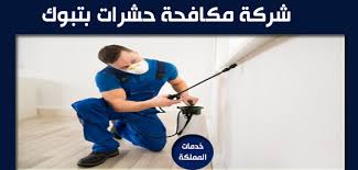 شركة مكافحة حشرات بتبوك للايجار واحدة من رواد شركات مكافحة الحشرات الشركة الأولي