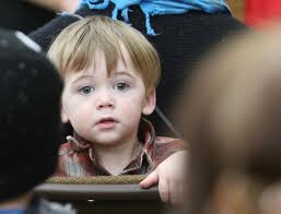 Photos: International Owl Center in Houston, Minn.