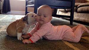 This Tiny Bulldog Giving This Baby Human Some Wet Kisses Dogs And Kids Puppy Kisses Baby Animals