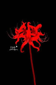 29 Ideas Wallpaper Iphone Anime Tokyo Ghoul Wallpapers For 2019 Tokyo Ghoul Wallpapers Tokyo Ghoul Flower Tokyo Ghoul