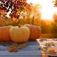 Family Fall Festival