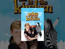 We did not find results for: Zebra In The Kitchen Youtube