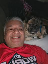 Good morning Yankee fans it's cold 🥶 gizmo chilling 😎 🎅🎄🎅🎄