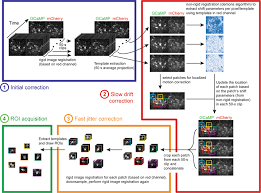 Rigid Motion Definition & Meaning | Dictionary.Com