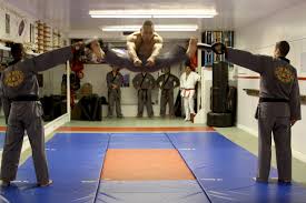 Strikes, kicks, blocks, avoiding movements, holds, joint locks, chokes, throws, breakfalls, . Hapkido Korean Martial Arts Center