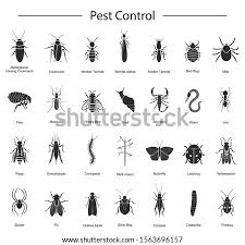 Pests live outside but will try to infest the walls of your home. Pest Control Icon At Getdrawings Free Download