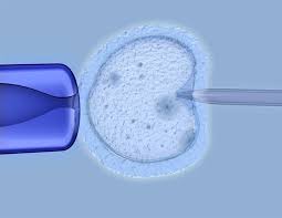 Prolonged Bed Rest Immediately After Embryo Transfer Linked With Reduction In Chances Of Pregnancy