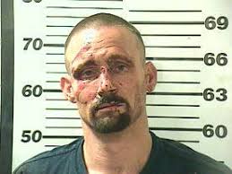 Mobile police use Taser in crystal meth arrest