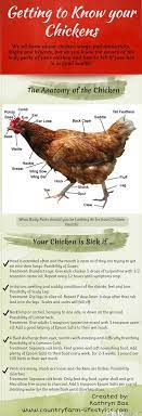 Check spelling or type a new query. Home Remedies For Sick Chickens And Laying Hens