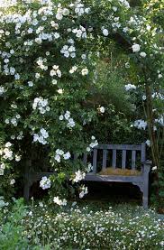 Dans Mon Jardin Secret Il Y A Dans Jardin Mon Secret In 2020 White Gardens Moon Garden Dream Garden