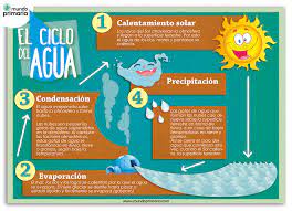 Infografia Sobre El Ciclo Del Agua Para Ninos De Primaria