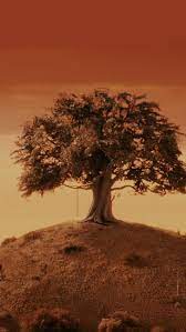 Could someone slightly drain the color of this fantastic fantastic mr. Tumblr