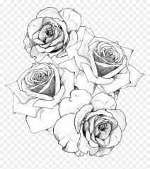 Clipart, color, cartoon, flower, bouquet, lavender, bouquet lavender, lavender cartoon, lavender flower, lavender bouquet, lavender plant, bouquet of lavender on a transparent background, it is required to give attribution , if you use this image on your website: Transparent Rose Drawing Png Bouquet Of Roses Drawing Png Download Vhv