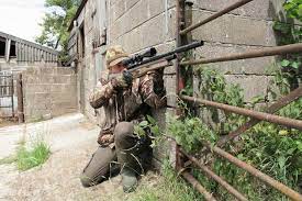 What would be the best calibre for foxes, rabbits and pest control? Air Rifle Pest Control The Vermin You Can Shoot And Why Airguns Are Useful