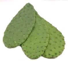 Acheter le fruit du cactus empêche votre peau de souffrir des épines. Feuilles De Cactus Ou Nopal Le Comptoir