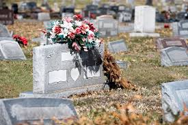 They pollinate 70 of the. How To Decide What Kind Of Cemetery You Want To Be Buried In Everplans