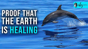 7 Positive Things Amidst COVID-19 Outbreak That Prove That The ...