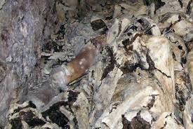 Galerija: - Žurnal24