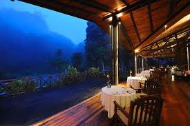 Borneo Rainforest Lodge Media Gallery Borneo Rainforest Lodge Borneo Rainforest Borneo Travel Borneo