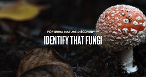 Identify that Fungi