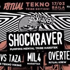 Image result for shockraver
