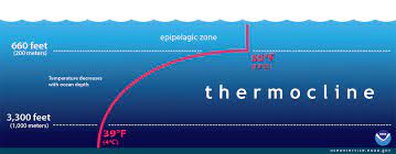 The deepsea challenger is designed as a science platform. What Is A Thermocline