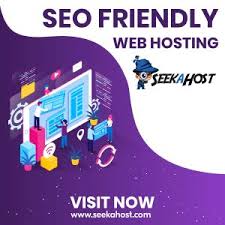 Best SEO Hosting Vs PBN Hosting: What's good for whom? | SeekaHost™