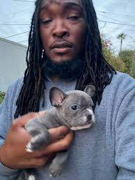 Korva Coleman's new family introduction