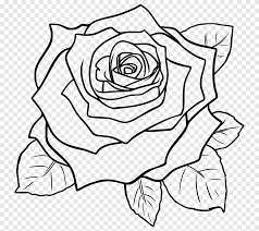 Black Rose Drawing Rose White Leaf Png Pngegg