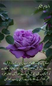 Good morning in arabic is: Asalamoalikum Good Morning Images Flowers Good Morning Arabic Good Morning Flowers