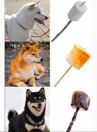 Big fluffy dog rescue is responsible for this page. Shiba To Marshmallow Diagram Eyebleach