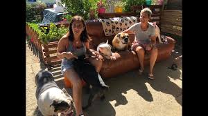 Une Maison De Retraite Pour Chiens Unique Pres De Toulouse Maisons De Retraite Vieux Chiens Chien