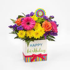 Same day delivery to cape coral / north ft myers, fl and surrounding areas. Florist North Fort Myers North Fort Myers Florist Fl
