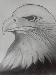 Pin By Linda Wagner On Pencil Drawings Brown Blonde Hair Drawings Brown To Blonde