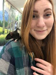 Adopting pet rats in Rexburg, Idaho