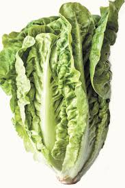 Taste the lettuce to see if it is sour. This Is The Best Lettuce To Buy At The Grocery Store Bon Appetit