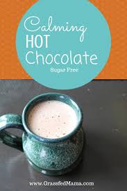 Sugar Free Hot Chocolate Grassfed Mama Healthy Bedtime Snacks Sugar Free Hot Chocolate Trim Healthy Mama Drinks