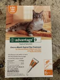 Bayer Advantage Flea For Cats Kittens 8 Weeks Older Under 9 Lbs 6 Doses Bayer 31 Fr Cats And Kittens Kittens Fleas