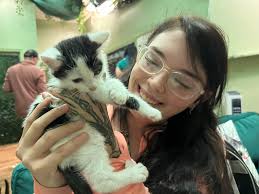 Kitten adoption update from Mercy Fund Animal Rescue