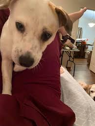 Do you bite or peel your string cheese?