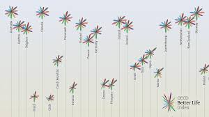 The following presents you important changes and adjustments you can make in order to live a much better life. Truth Beauty Oecd Better Life Index